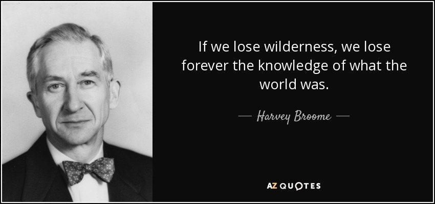 If we lose wilderness, we lose forever the knowledge of what the world was. - Harvey Broome