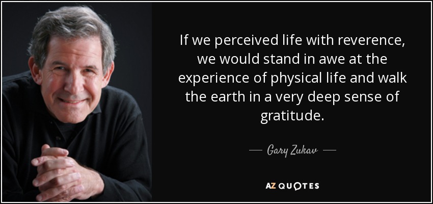 If we perceived life with reverence, we would stand in awe at the experience of physical life and walk the earth in a very deep sense of gratitude. - Gary Zukav