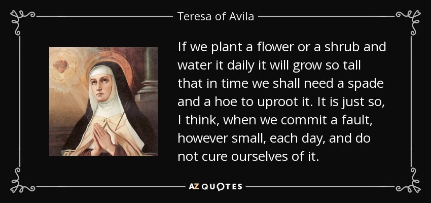 If we plant a flower or a shrub and water it daily it will grow so tall that in time we shall need a spade and a hoe to uproot it. It is just so, I think, when we commit a fault, however small, each day, and do not cure ourselves of it. - Teresa of Avila