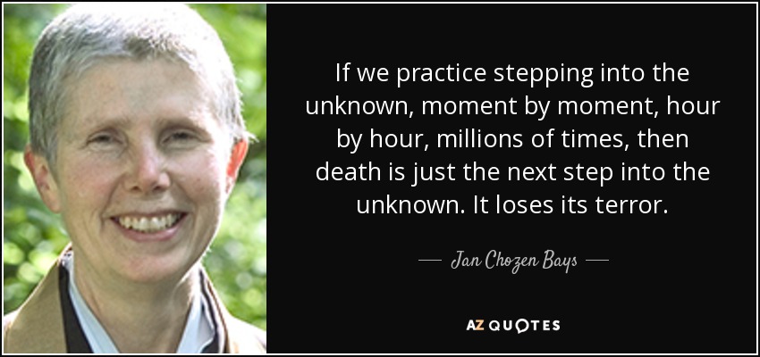 If we practice stepping into the unknown, moment by moment, hour by hour, millions of times, then death is just the next step into the unknown. It loses its terror. - Jan Chozen Bays