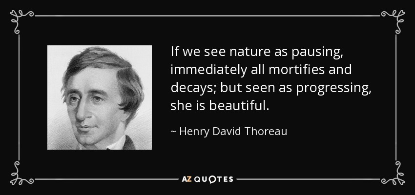 If we see nature as pausing, immediately all mortifies and decays; but seen as progressing, she is beautiful. - Henry David Thoreau