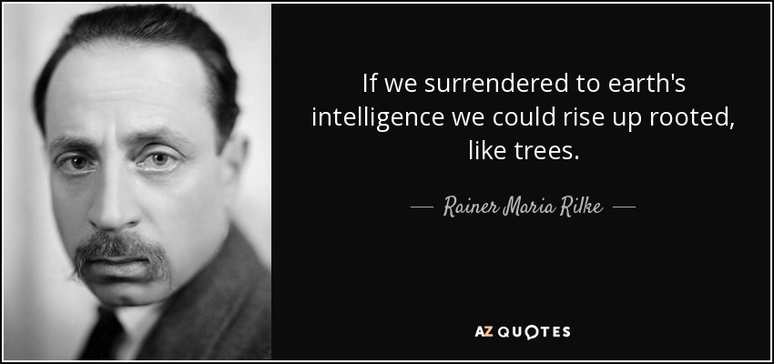 If we surrendered to earth's intelligence we could rise up rooted, like trees. - Rainer Maria Rilke