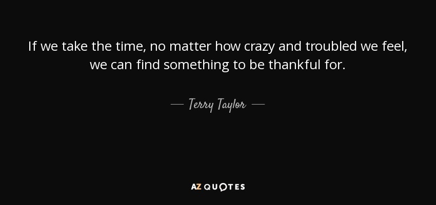 If we take the time, no matter how crazy and troubled we feel, we can find something to be thankful for. - Terry Taylor