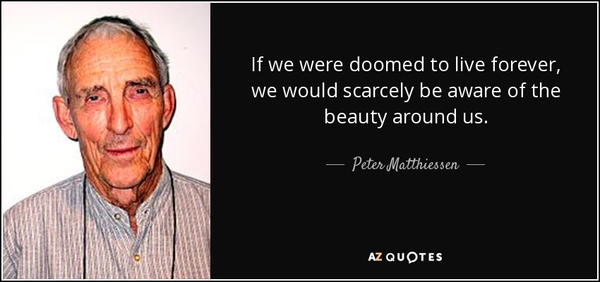 If we were doomed to live forever, we would scarcely be aware of the beauty around us. - Peter Matthiessen
