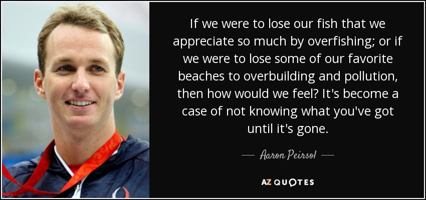 If we were to lose our fish that we appreciate so much by overfishing; or if we were to lose some of our favorite beaches to overbuilding and pollution, then how would we feel? It's become a case of not knowing what you've got until it's gone. - Aaron Peirsol