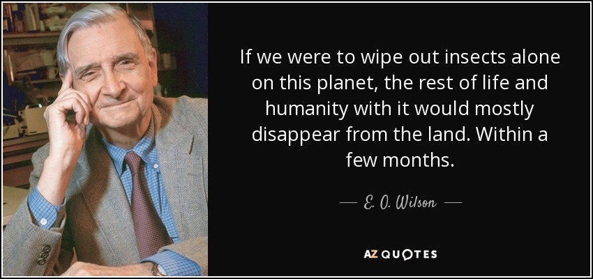 If we were to wipe out insects alone on this planet, the rest of life and humanity with it would mostly disappear from the land. Within a few months. - E. O. Wilson