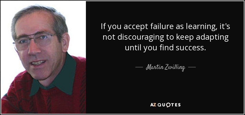 If you accept failure as learning, it's not discouraging to keep adapting until you find success. - Martin Zwilling