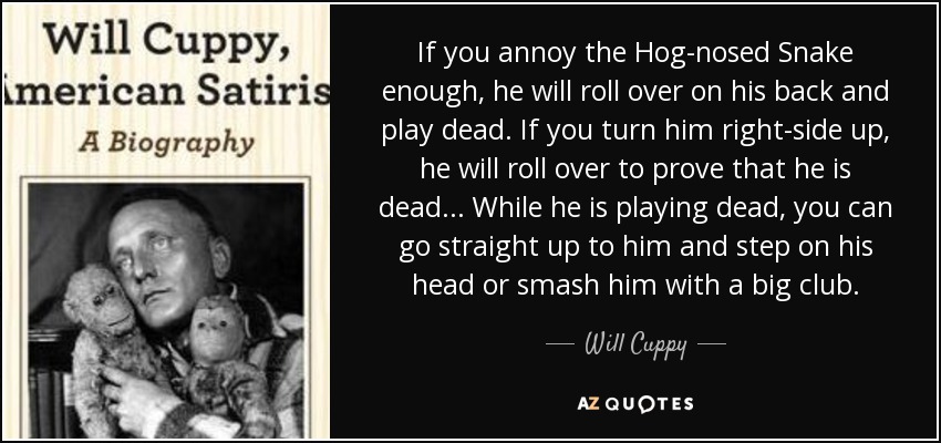 If you annoy the Hog-nosed Snake enough, he will roll over on his back and play dead. If you turn him right-side up, he will roll over to prove that he is dead... While he is playing dead, you can go straight up to him and step on his head or smash him with a big club. - Will Cuppy