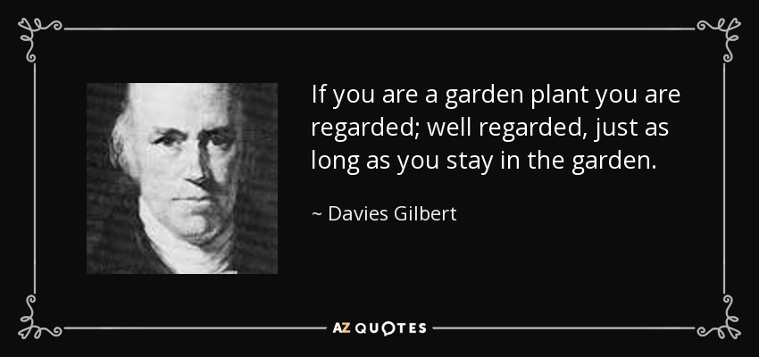If you are a garden plant you are regarded; well regarded, just as long as you stay in the garden. - Davies Gilbert