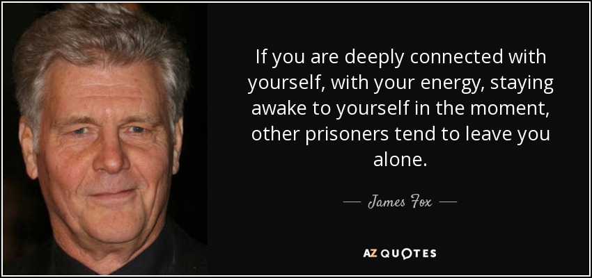 If you are deeply connected with yourself, with your energy, staying awake to yourself in the moment, other prisoners tend to leave you alone. - James Fox