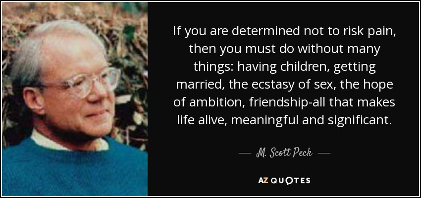 If you are determined not to risk pain, then you must do without many things: having children, getting married, the ecstasy of sex, the hope of ambition, friendship-all that makes life alive, meaningful and significant. - M. Scott Peck