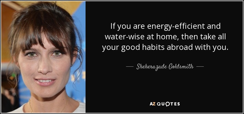 If you are energy-efficient and water-wise at home, then take all your good habits abroad with you. - Sheherazade Goldsmith