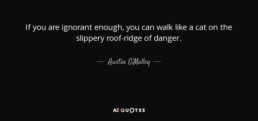 If you are ignorant enough, you can walk like a cat on the slippery roof-ridge of danger. - Austin O'Malley