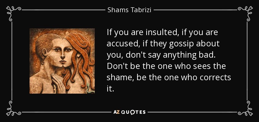 If you are insulted, if you are accused, if they gossip about you, don't say anything bad. Don't be the one who sees the shame, be the one who corrects it. - Shams Tabrizi