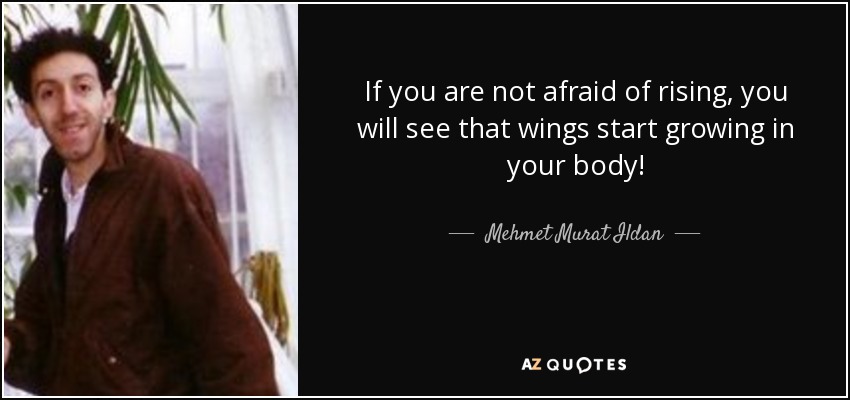 If you are not afraid of rising, you will see that wings start growing in your body! - Mehmet Murat Ildan