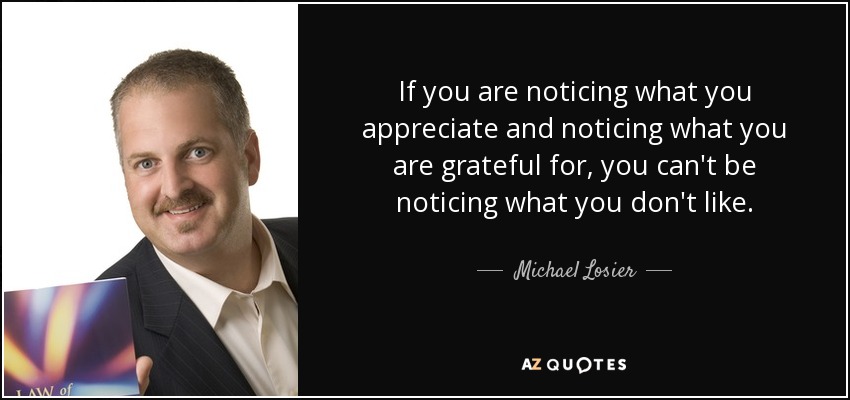 If you are noticing what you appreciate and noticing what you are grateful for, you can't be noticing what you don't like. - Michael Losier