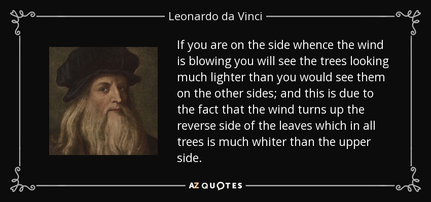 If you are on the side whence the wind is blowing you will see the trees looking much lighter than you would see them on the other sides; and this is due to the fact that the wind turns up the reverse side of the leaves which in all trees is much whiter than the upper side. - Leonardo da Vinci