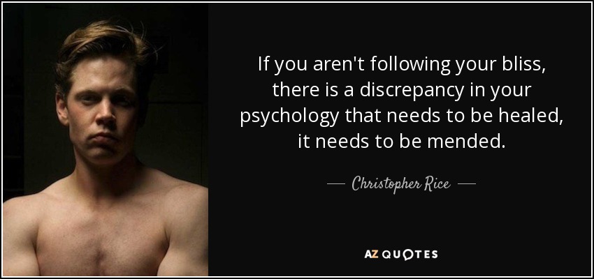 If you aren't following your bliss, there is a discrepancy in your psychology that needs to be healed, it needs to be mended. - Christopher Rice