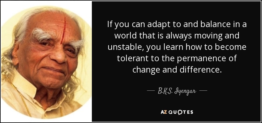 If you can adapt to and balance in a world that is always moving and unstable, you learn how to become tolerant to the permanence of change and difference. - B.K.S. Iyengar