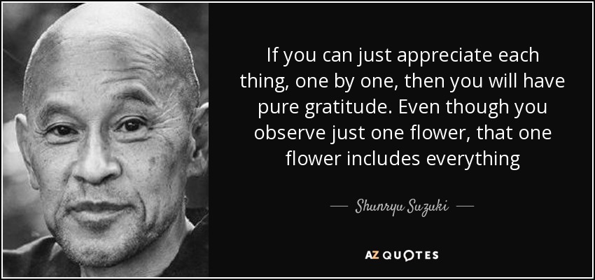 If you can just appreciate each thing, one by one, then you will have pure gratitude. Even though you observe just one flower, that one flower includes everything - Shunryu Suzuki