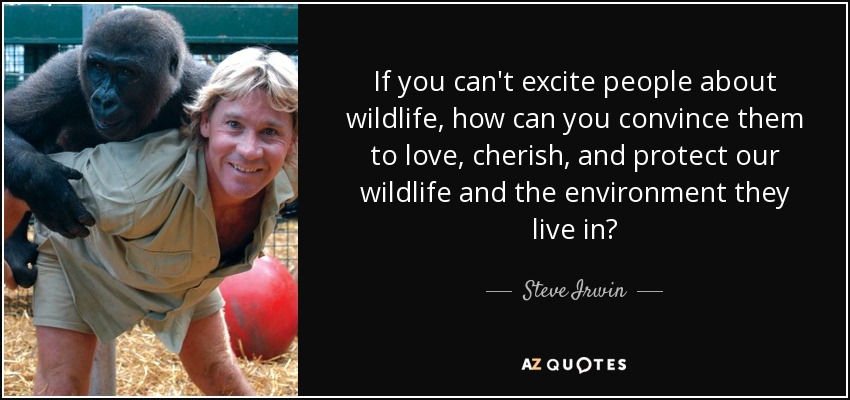 If you can't excite people about wildlife, how can you convince them to love, cherish, and protect our wildlife and the environment they live in? - Steve Irwin