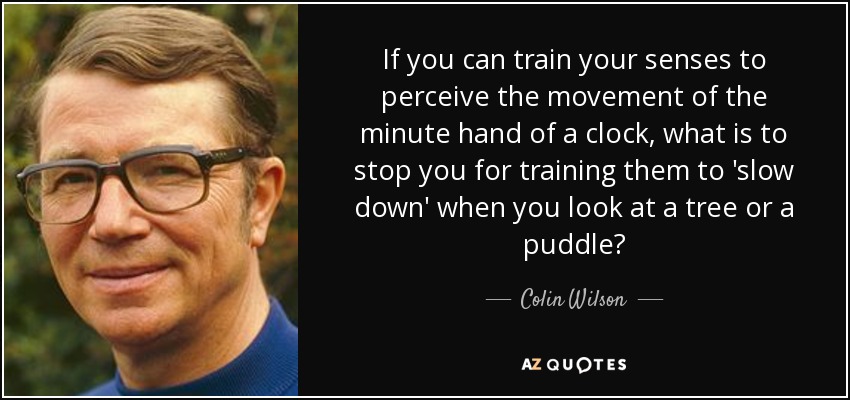 If you can train your senses to perceive the movement of the minute hand of a clock, what is to stop you for training them to 'slow down' when you look at a tree or a puddle? - Colin Wilson