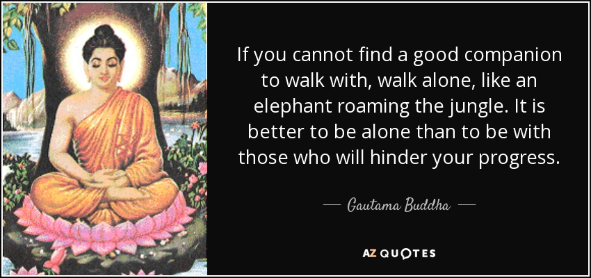 If you cannot find a good companion to walk with, walk alone, like an elephant roaming the jungle. It is better to be alone than to be with those who will hinder your progress. - Gautama Buddha