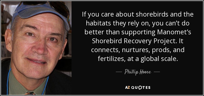 If you care about shorebirds and the habitats they rely on, you can’t do better than supporting Manomet’s Shorebird Recovery Project. It connects, nurtures, prods, and fertilizes, at a global scale. - Phillip Hoose