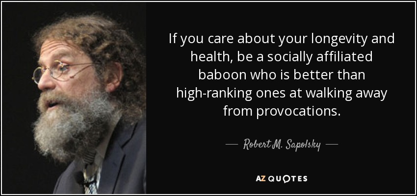 If you care about your longevity and health, be a socially affiliated baboon who is better than high-ranking ones at walking away from provocations. - Robert M. Sapolsky