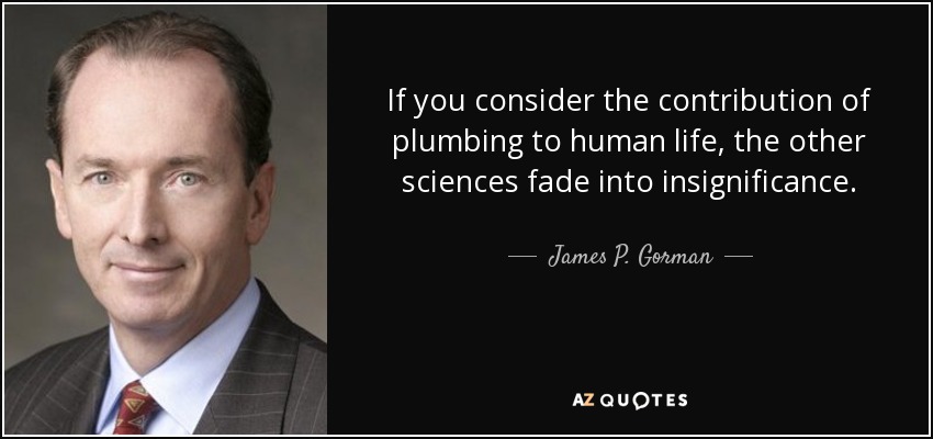 If you consider the contribution of plumbing to human life, the other sciences fade into insignificance. - James P. Gorman