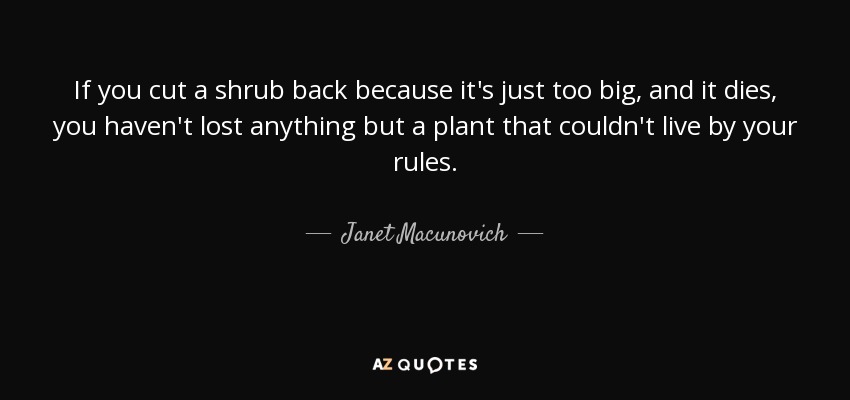 If you cut a shrub back because it's just too big, and it dies, you haven't lost anything but a plant that couldn't live by your rules. - Janet Macunovich