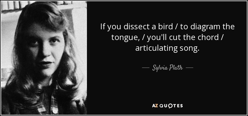 If you dissect a bird / to diagram the tongue, / you'll cut the chord / articulating song. - Sylvia Plath