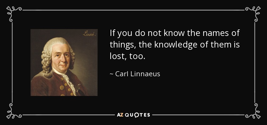 If you do not know the names of things, the knowledge of them is lost, too. - Carl Linnaeus