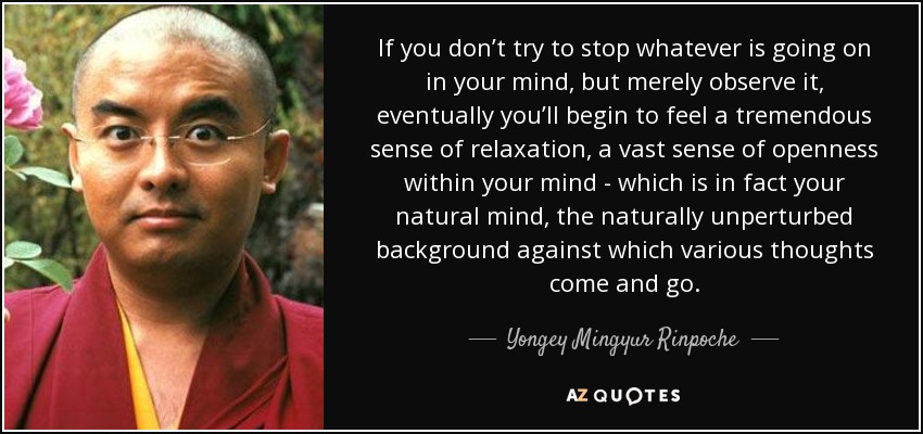 If you don’t try to stop whatever is going on in your mind, but merely observe it, eventually you’ll begin to feel a tremendous sense of relaxation, a vast sense of openness within your mind - which is in fact your natural mind, the naturally unperturbed background against which various thoughts come and go. - Yongey Mingyur Rinpoche