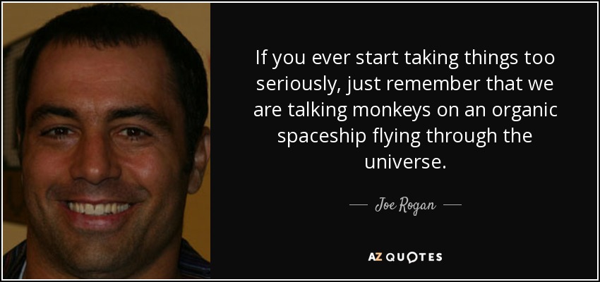 If you ever start taking things too seriously, just remember that we are talking monkeys on an organic spaceship flying through the universe. - Joe Rogan