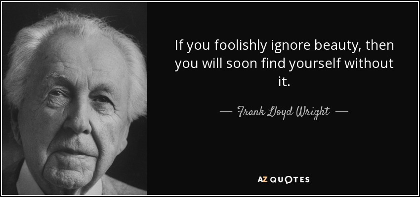 If you foolishly ignore beauty, then you will soon find yourself without it. - Frank Lloyd Wright