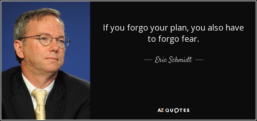 If you forgo your plan, you also have to forgo fear. - Eric Schmidt