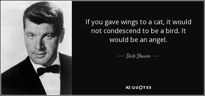 If you gave wings to a cat, it would not condescend to be a bird. It would be an angel. - Dick Shawn