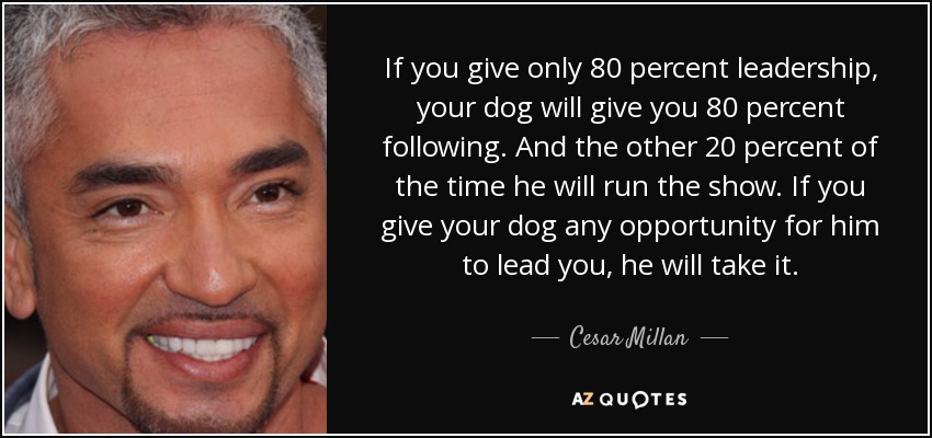 If you give only 80 percent leadership, your dog will give you 80 percent following. And the other 20 percent of the time he will run the show. If you give your dog any opportunity for him to lead you, he will take it. - Cesar Millan