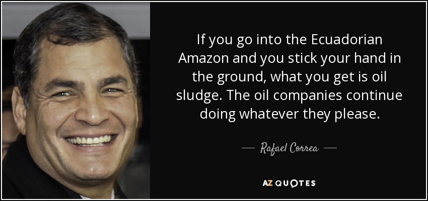 If you go into the Ecuadorian Amazon and you stick your hand in the ground, what you get is oil sludge. The oil companies continue doing whatever they please. - Rafael Correa
