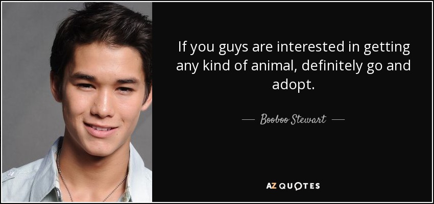 If you guys are interested in getting any kind of animal, definitely go and adopt. - Booboo Stewart
