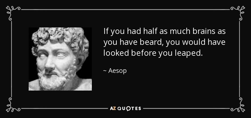 If you had half as much brains as you have beard, you would have looked before you leaped. - Aesop