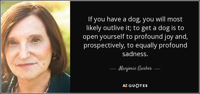 If you have a dog, you will most likely outlive it; to get a dog is to open yourself to profound joy and, prospectively, to equally profound sadness. - Marjorie Garber