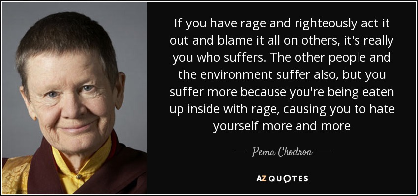 If you have rage and righteously act it out and blame it all on others, it's really you who suffers. The other people and the environment suffer also, but you suffer more because you're being eaten up inside with rage, causing you to hate yourself more and more - Pema Chodron