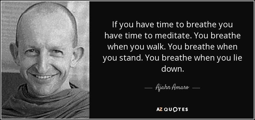 If you have time to breathe you have time to meditate. You breathe when you walk. You breathe when you stand. You breathe when you lie down. - Ajahn Amaro