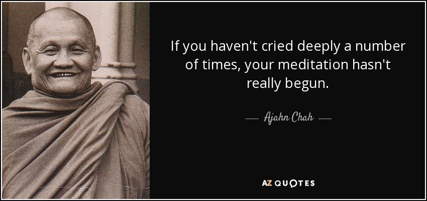 If you haven't cried deeply a number of times, your meditation hasn't really begun. - Ajahn Chah