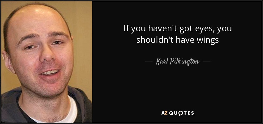 If you haven't got eyes, you shouldn't have wings - Karl Pilkington