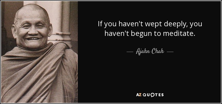 If you haven't wept deeply, you haven't begun to meditate. - Ajahn Chah