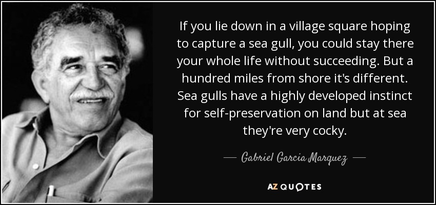 If you lie down in a village square hoping to capture a sea gull, you could stay there your whole life without succeeding. But a hundred miles from shore it's different. Sea gulls have a highly developed instinct for self-preservation on land but at sea they're very cocky. - Gabriel Garcia Marquez