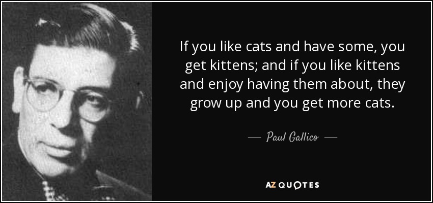 If you like cats and have some, you get kittens; and if you like kittens and enjoy having them about, they grow up and you get more cats. - Paul Gallico